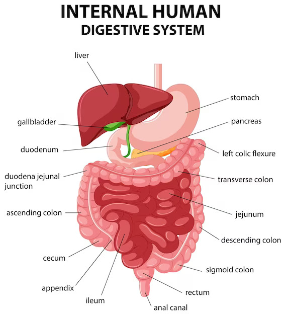 Bowel Obstruction